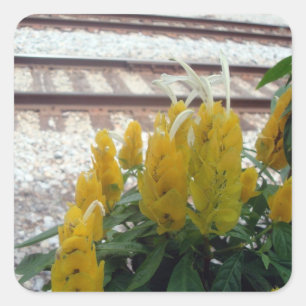 By the Tracks Sticker