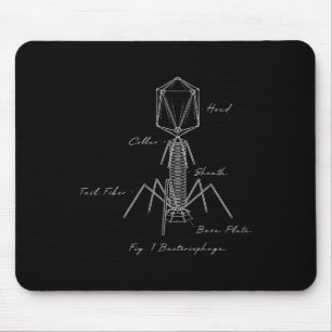Bycteriophage Microbiology Diagram Biology Virolog Mouse Pad