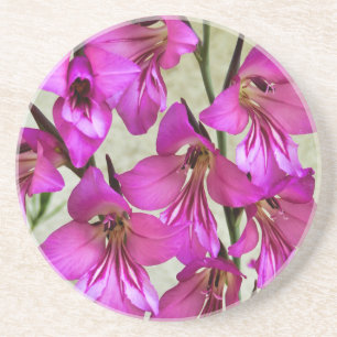 Byzantine Gladiolus Coaster