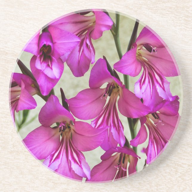 Byzantine Gladiolus Coaster (Front)