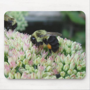 Bzzzzzz Mouse Pad