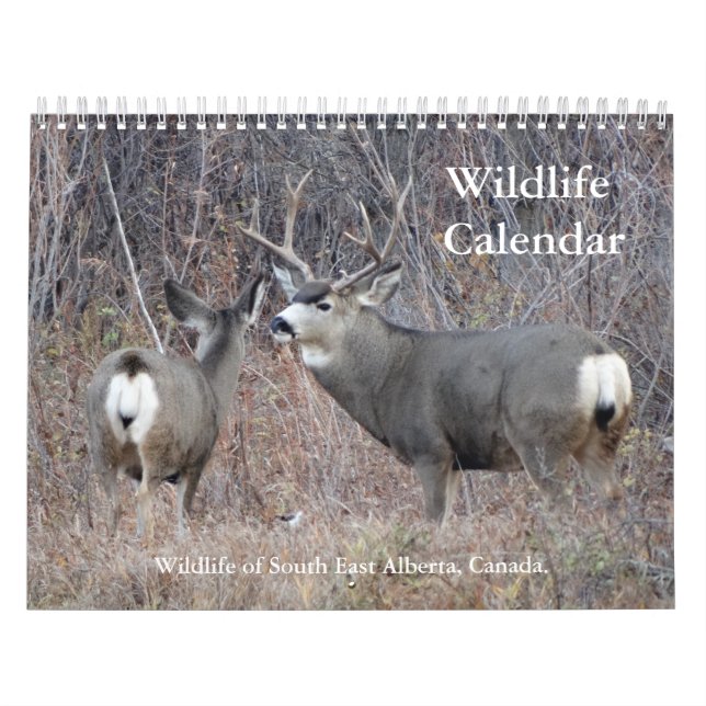 C13 Wildlife Calendar (Cover)