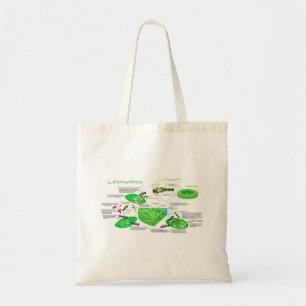 C4 Photosynthesis Diagram Leaf Plant Tote Bag