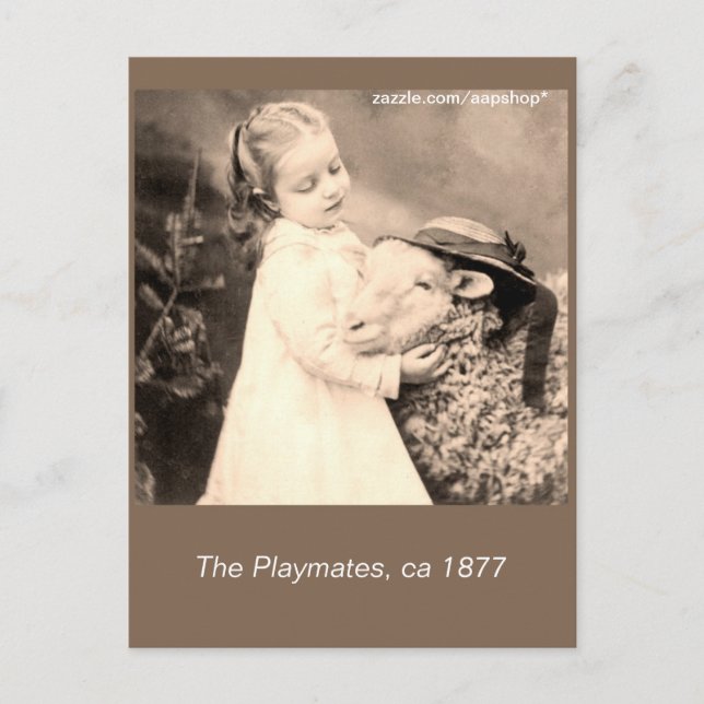 c 1877 The playmates, little girl, sheep Postcard (Front)