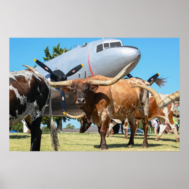 C-47 Skytrain in Texas Poster (Front)