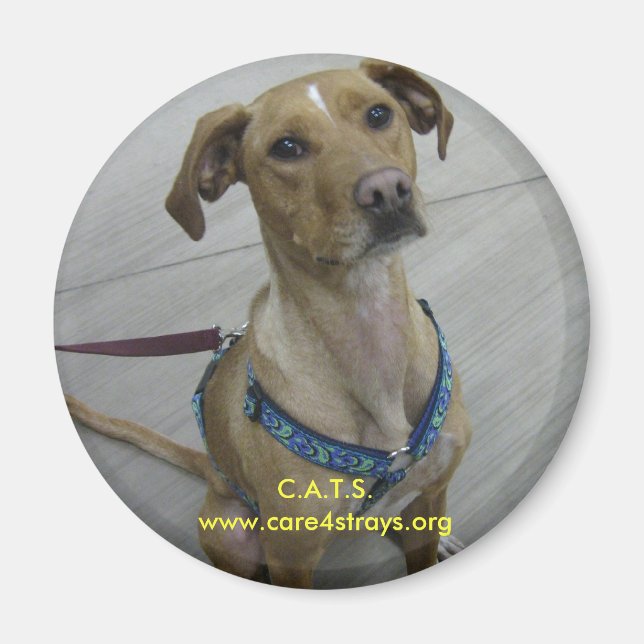 C.A.T.S. Magnet (Front)