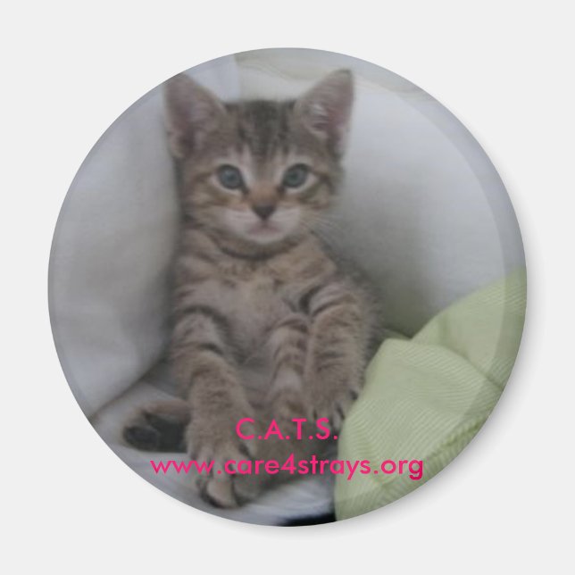 C.A.T.S. Magnet: Magnet (Front)