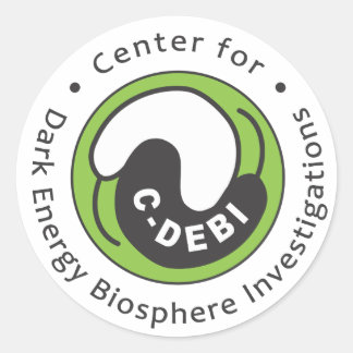 C-DEBI Sticker - Full Name