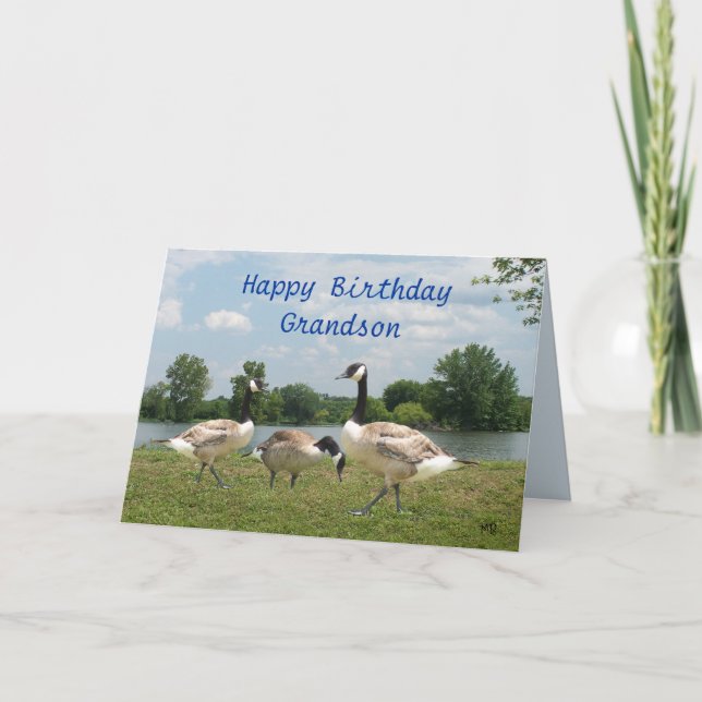 C. Geese-customise any occasion Card (Front)