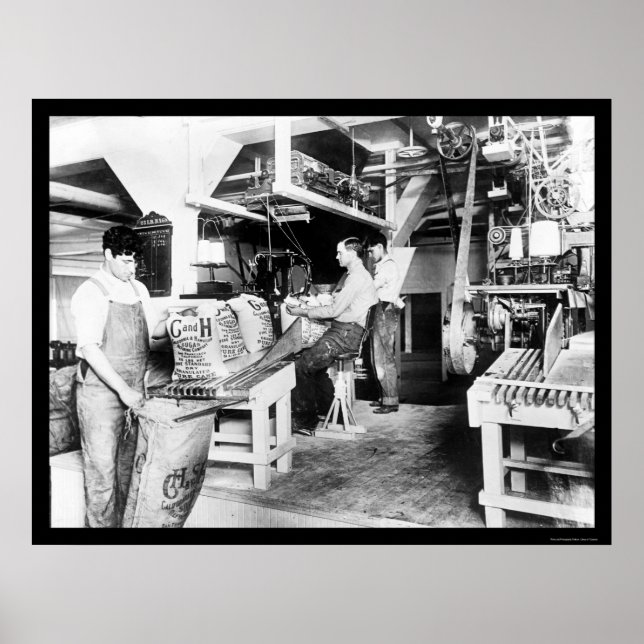 C & H Sugar Processing 1914 Poster (Front)