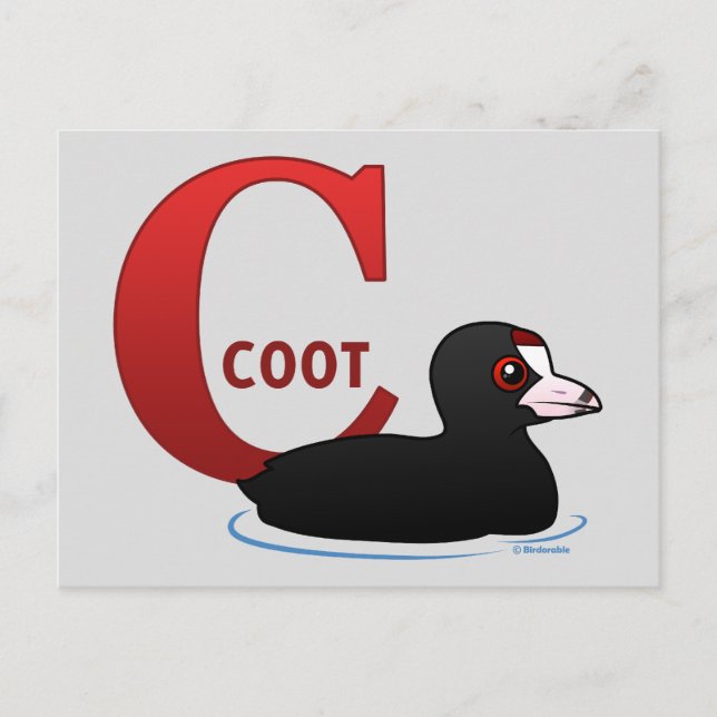 C is for Coot Postcard (Front)
