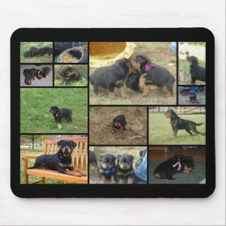 C Litter puppy collage Mouse Pad
