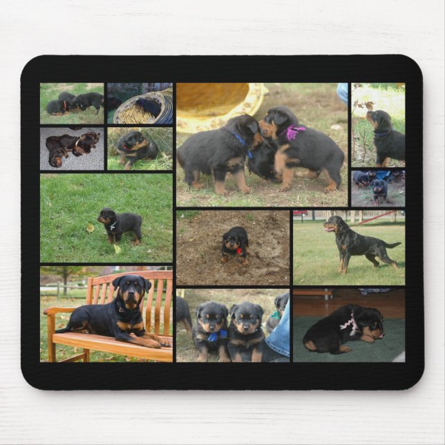 C Litter puppy collage Mouse Pad (Front)