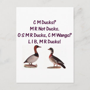 C M Ducks? Funny Southern Accent Postcard