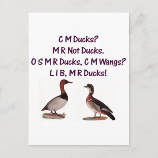 C M Ducks? Funny Southern Accent Postcard
