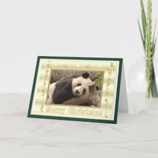 c-panda-296 holiday card