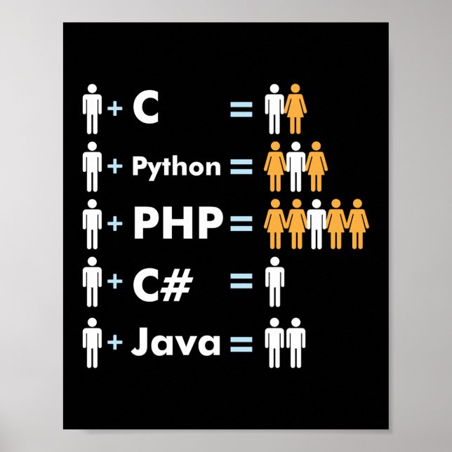 C Python Php Java Programmer Coding Poster (Front)