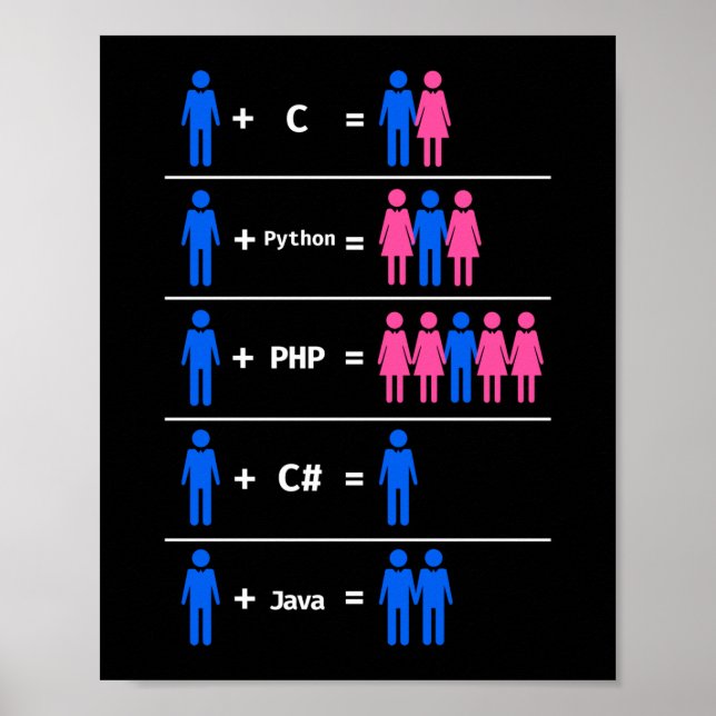 C Python Php Java Programmer Coding Poster (Front)