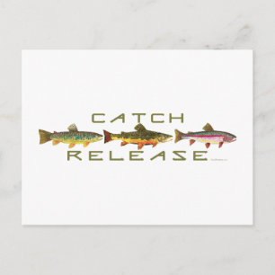 C & R - Trout Postcard
