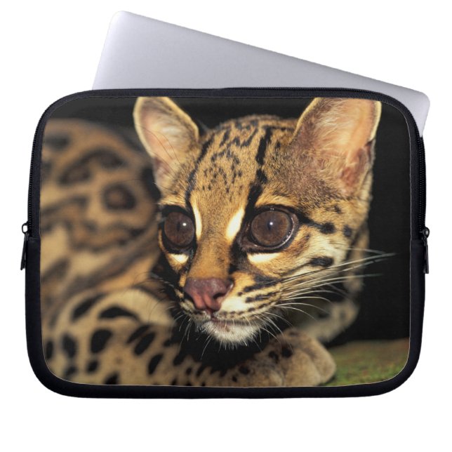 CA, Central Panama, Soberania NP, Margay 2 Laptop Sleeve (Front)