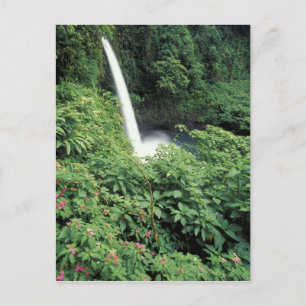 CA, Costa Rica. La Paz waterfall and impatients Postcard