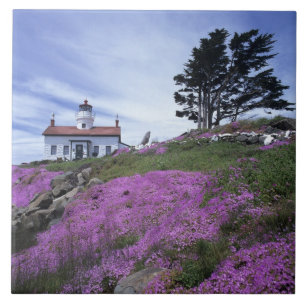 CA, Crescent City, Battery Point lighthouse with Ceramic Tile