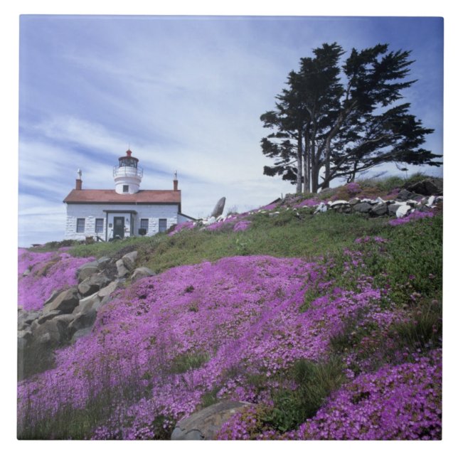 CA, Crescent City, Battery Point lighthouse with Ceramic Tile (Front)