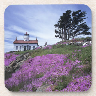 CA, Crescent City, Battery Point lighthouse with Coaster