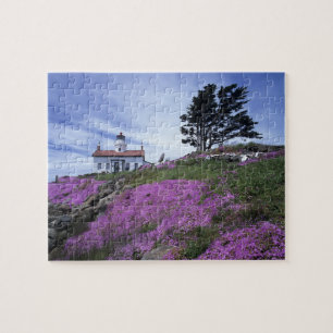 CA, Crescent City, Battery Point lighthouse with Jigsaw Puzzle