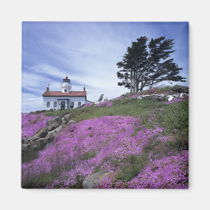 CA, Crescent City, Battery Point lighthouse with Magnet