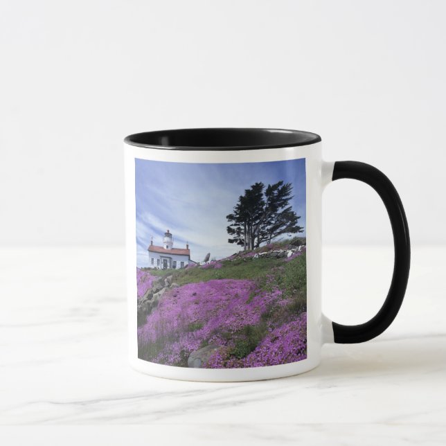 CA, Crescent City, Battery Point lighthouse with Mug (Right)
