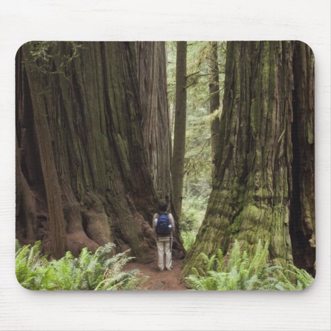 CA, Jedediah Smith Redwoods State Park, Mouse Pad (Front)