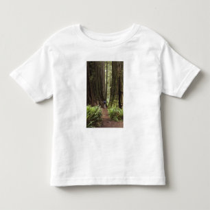 CA, Jedediah Smith Redwoods State Park, Toddler T-Shirt