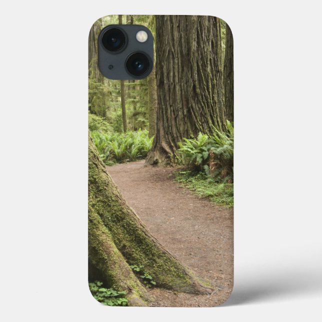 CA, Jedediah Smith State Park, Simpson-Reed Case-Mate iPhone Case (Back)