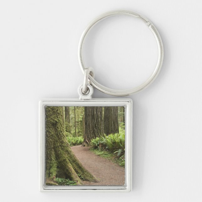 CA, Jedediah Smith State Park, Simpson-Reed Key Ring (Front)
