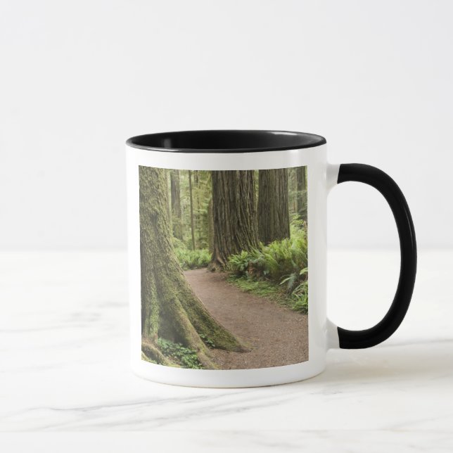 CA, Jedediah Smith State Park, Simpson-Reed Mug (Right)