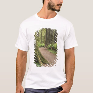 CA, Jedediah Smith State Park, Simpson-Reed T-Shirt