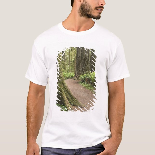 CA, Jedediah Smith State Park, Simpson-Reed T-Shirt (Front)