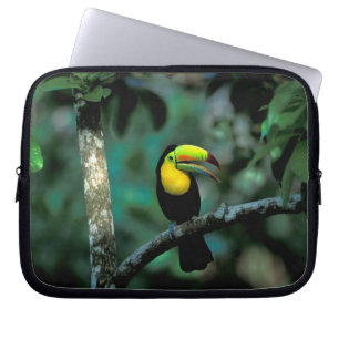 CA, Panama, Soberania NP, Keel-billed Tuccan Laptop Sleeve