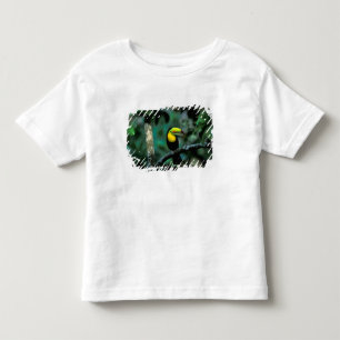 CA, Panama, Soberania NP, Keel-billed Tuccan Toddler T-Shirt