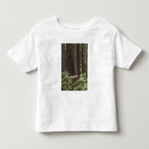 CA, Prairie Creek State Park, Coast Toddler T-Shirt