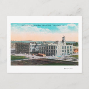 CA Raisin Association Packing Plant Postcard
