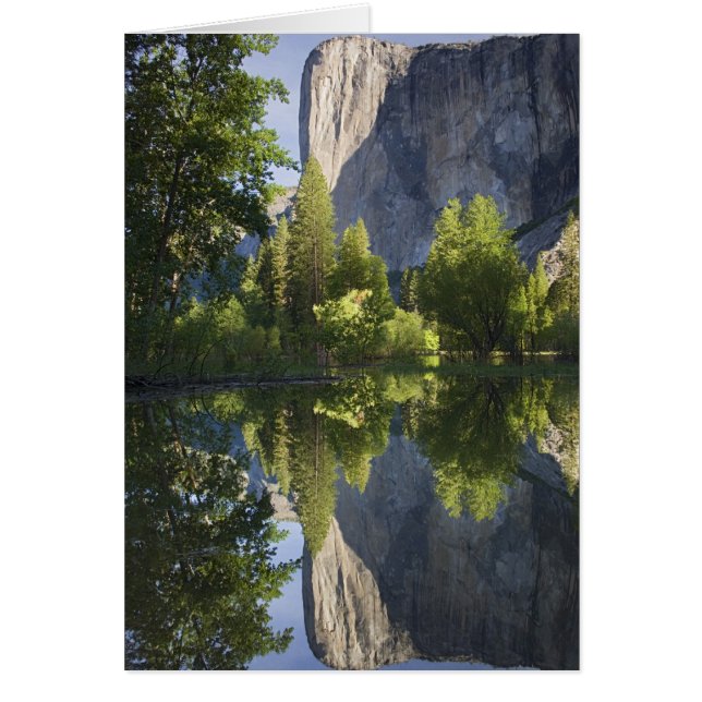 CA, Yosemite NP, El Capitan reflected in Merced (Front)