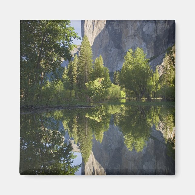 CA, Yosemite NP, El Capitan reflected in Merced Magnet (Front)