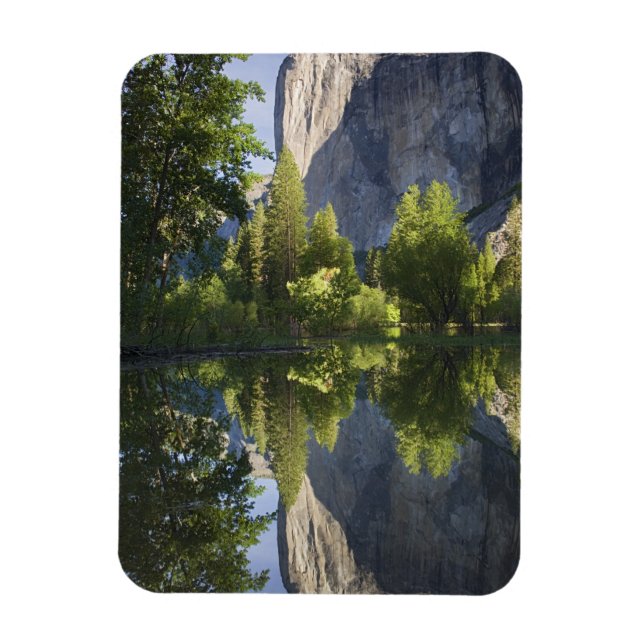 CA, Yosemite NP, El Capitan reflected in Merced Magnet (Vertical)