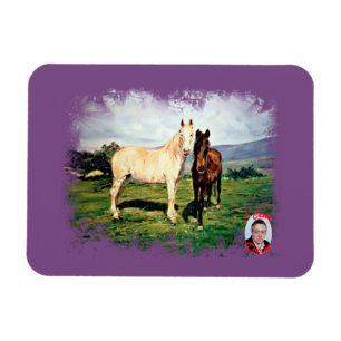 Caballos/Cabalos/Horses Magnet