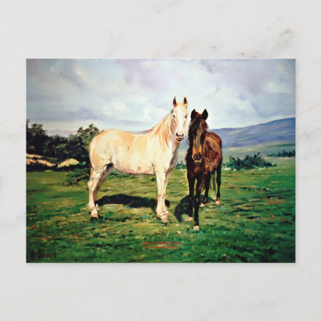 Caballos/Cabalos/Horses Postcard (Front)