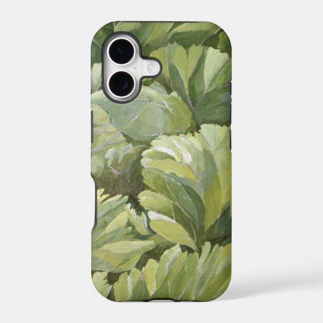 Cabbage 2013 (Back)