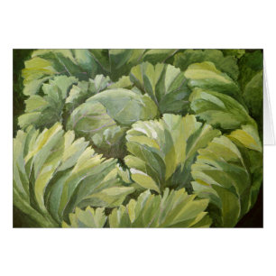 Cabbage 2013