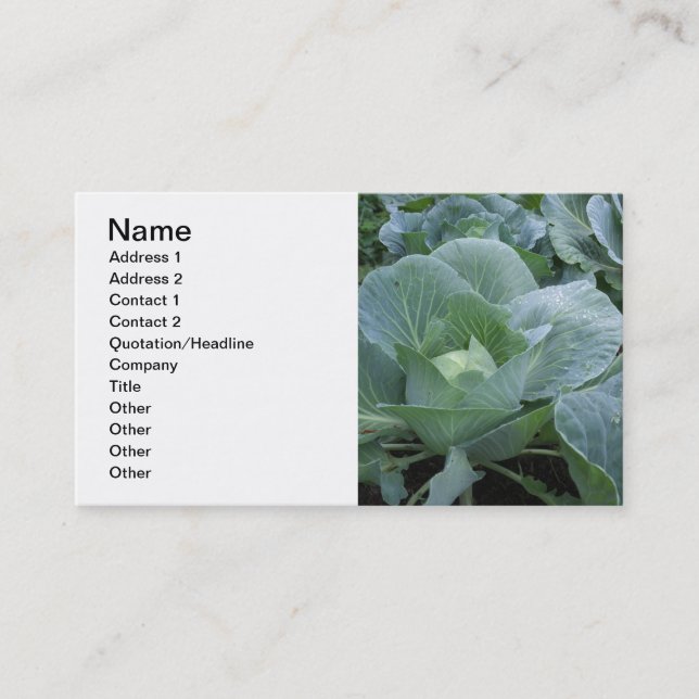 Cabbage Business Card (Front)